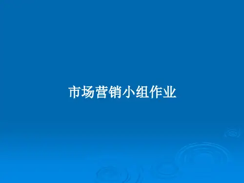 市场营销小组作业PPT学习教案