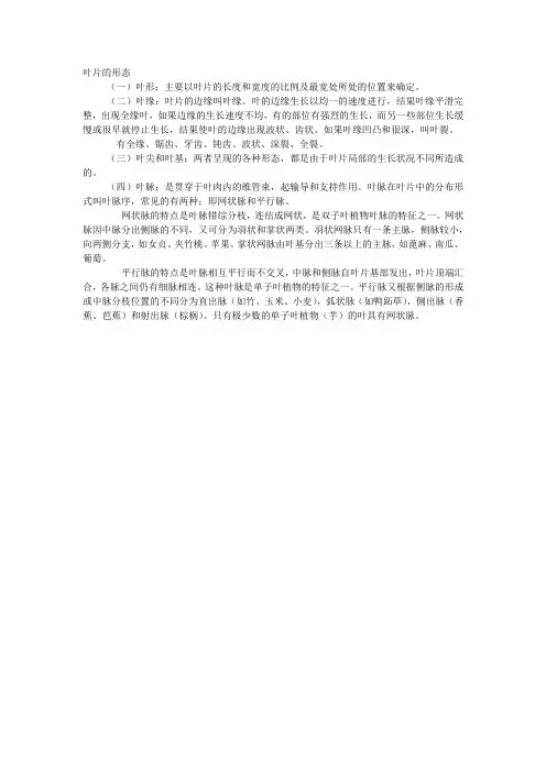 叶片的形态