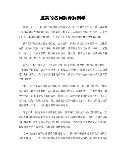腋窝的名词解释解剖学