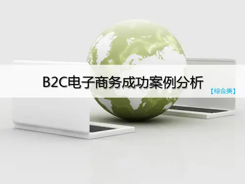 B2C电子商务成功案例分析