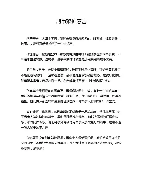 刑事辩护感言