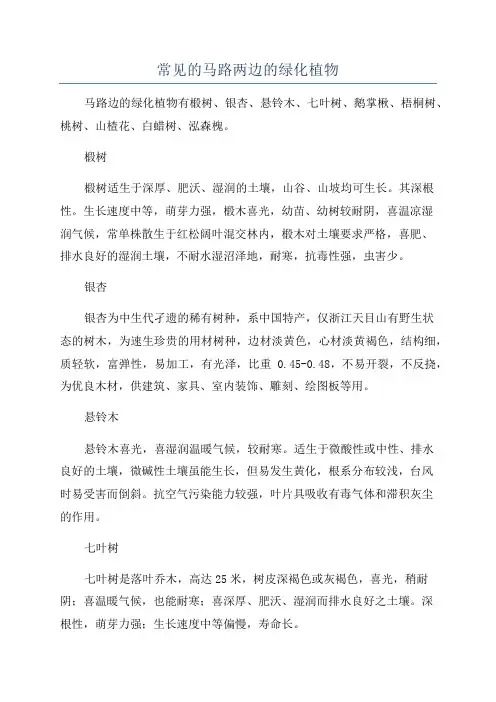 常见的马路两边的绿化植物
