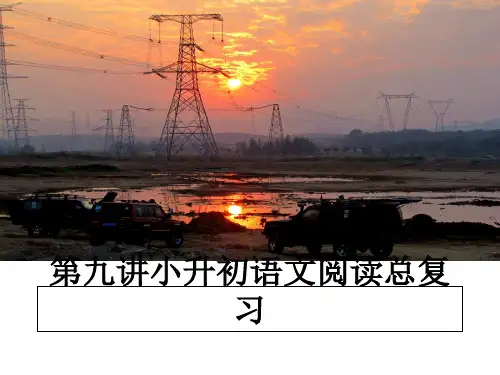 最新第九讲小升初语文阅读总复习教学讲义ppt课件
