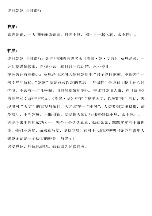 终日乾乾,与时偕行