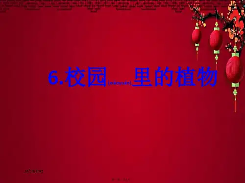 一年级科学上册 第1单元 植物 1.6《校园里的植物》课件教科小学一年级上册自然科学课件