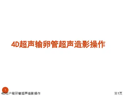 D超声输卵管超声造影操作课件