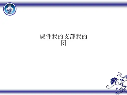 课件我的支部我的团