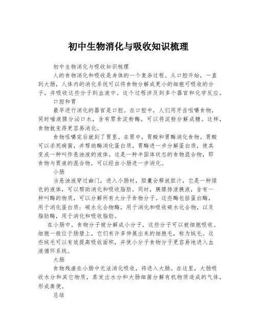 初中生物消化与吸收知识梳理