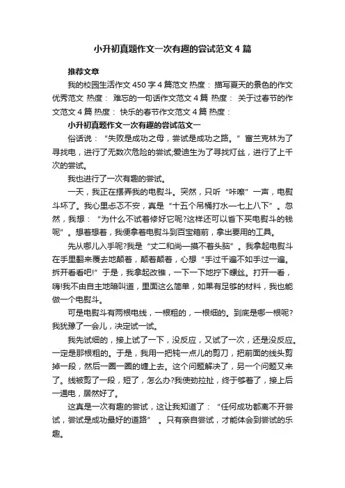 小升初真题作文一次有趣的尝试范文4篇