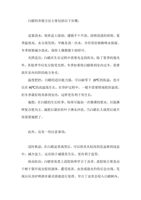 白蜡的养殖方法和注意事项