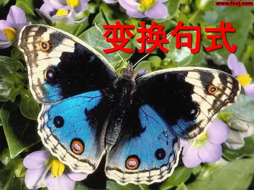整散句变换上课用 优质课件