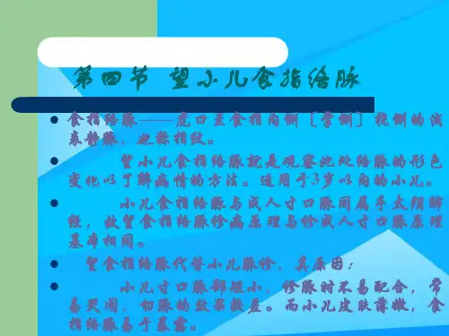 第四节 望小儿指络脉优质PPT