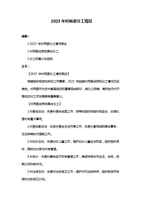 2023年村两委分工情况