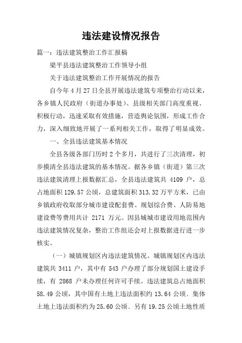违法建设情况报告doc