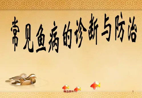常见鱼病的诊断与防治ppt课件