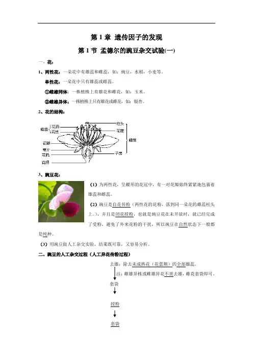 人教版2019-2020年高一生物下学期知识梳理专题01 遗传因子的发现