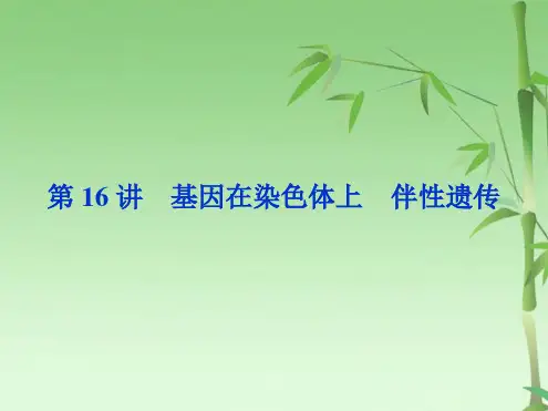 高考生物一轮总复习课件：第单元遗传的基本规律与伴性遗传第讲(共71张PPT)