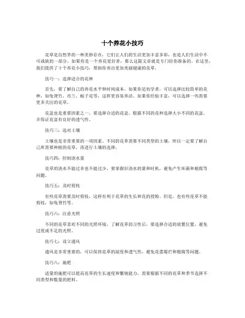 十个养花小技巧