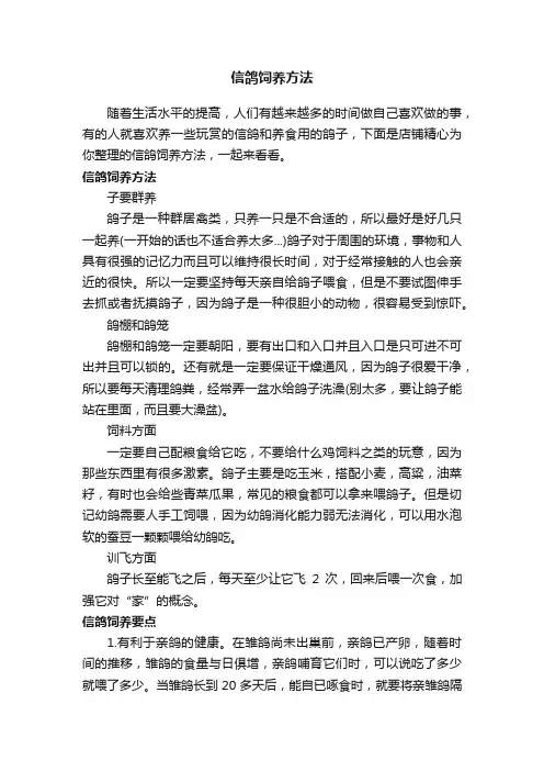 信鸽饲养方法