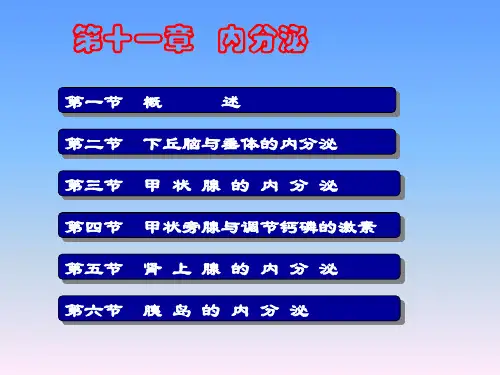 人体及动物生理学内分泌系统ppt课件共87页文档