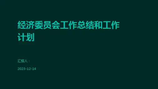 经济委员会工作总结和工作计划