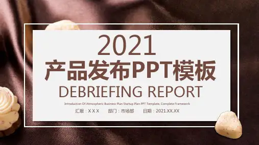 简约大气产品发布PPT模板25