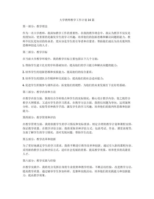 大学教师教学工作计划14篇