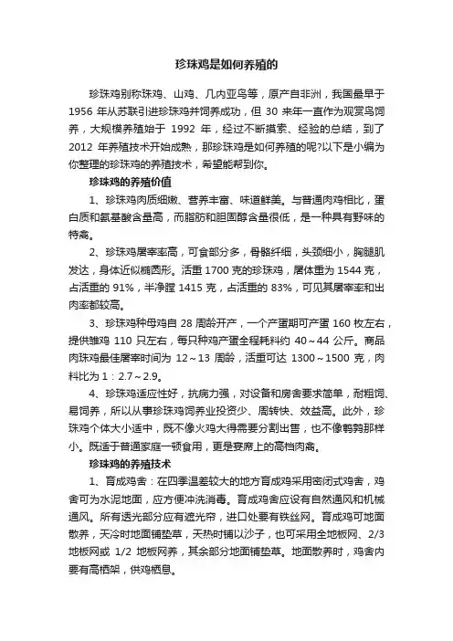 珍珠鸡是如何养殖的