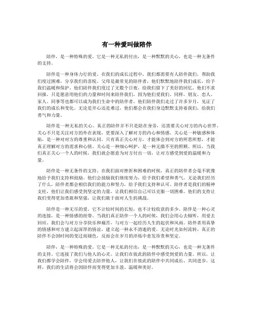 有一种爱叫做陪伴