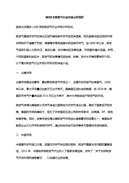 2023年致密气行业市场分析现状