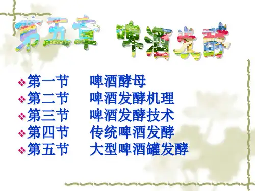 第五章啤酒发酵