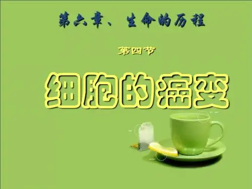 6.4细胞的癌变 -pwf