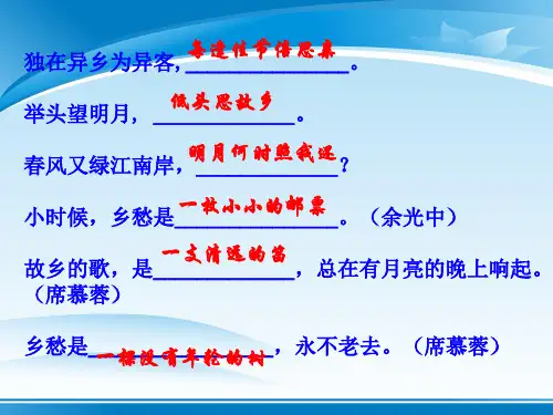 人教版选修《中国现代诗歌散文欣赏》第四单元 《边界望乡》课件 (43张PPT)