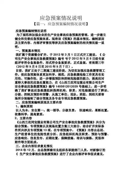 说明书之应急预案情况说明