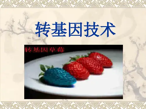 转基因技术