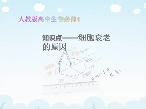 高中生物必修1教学课件知识点-细胞衰老的原因
