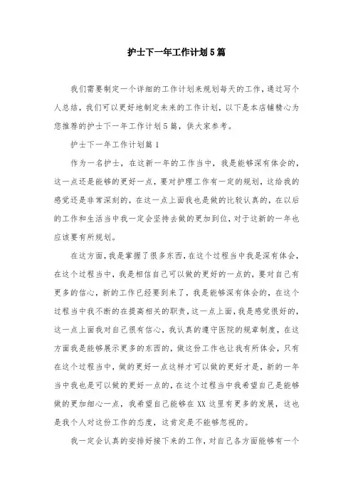 护士下一年工作计划5篇