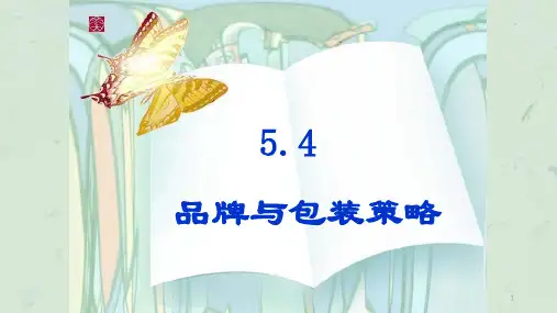 电子教案品牌与包装策略课件