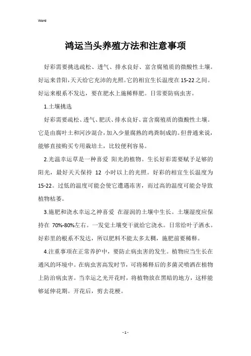 鸿运当头养殖方法和注意事项