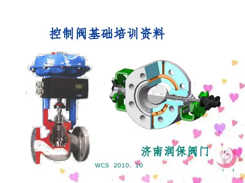 控制阀基础培训资料(PPT 110页)