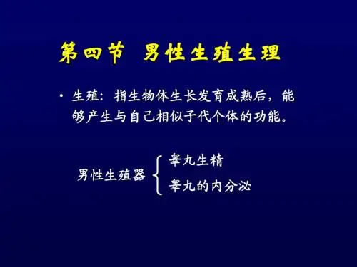 14.4男性生殖生理