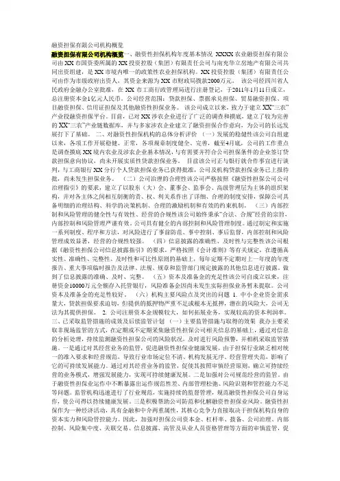 融资担保有限公司机构概览