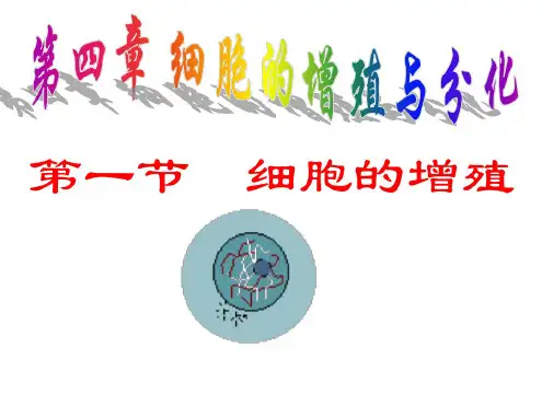 高一生物细胞的增殖(1)
