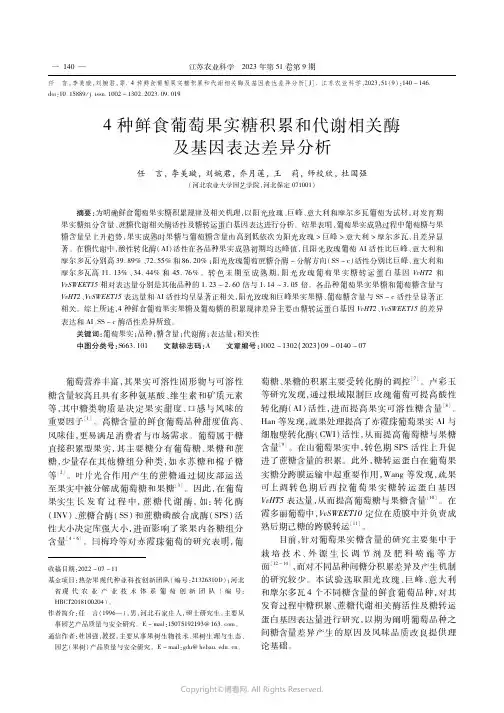 4种鲜食葡萄果实糖积累和代谢相关酶及基因表达差异分析