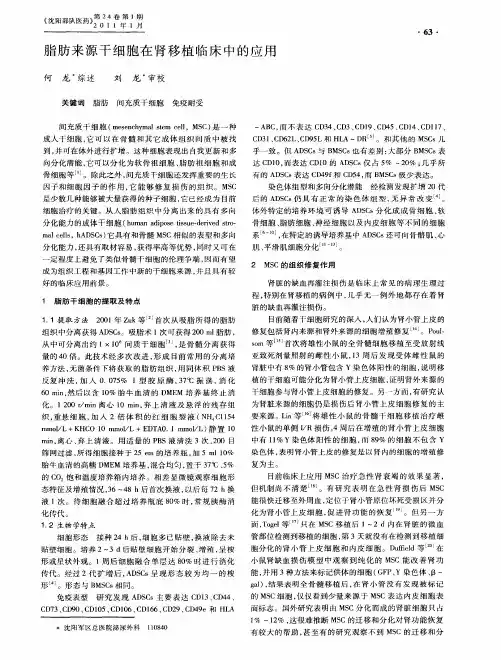 脂肪来源干细胞在肾移植临床中的应用