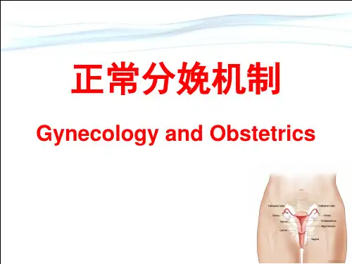 正常分娩机制【优质PPT】