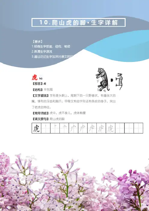 部编版语文四年级上册《爬山虎的脚》文字解读