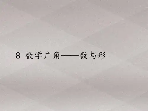 六年级上册数学课件-8 数学广角——数与形｜人教版(共17张PPT)