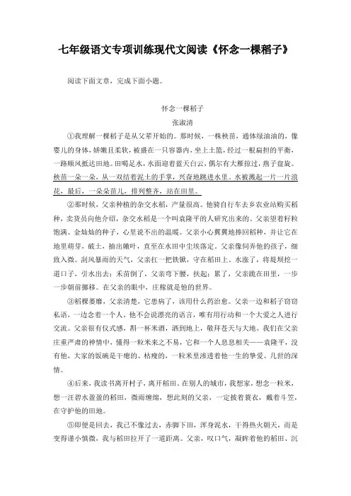 七年级语文专项训练现代文阅读《怀念一棵稻子》含答案
