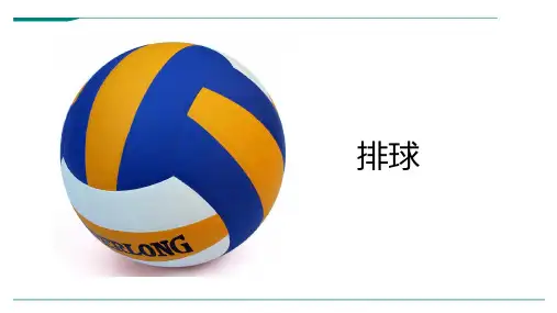 2024年排球-美术课件